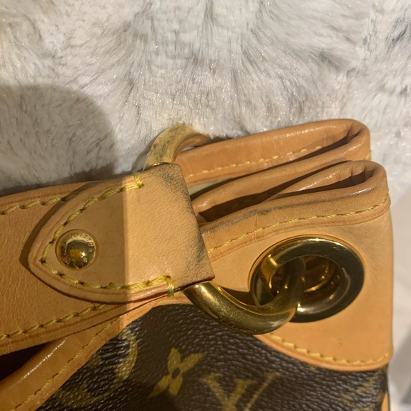 Louis Vuitton Galliera Pm - Picture 6 of 7